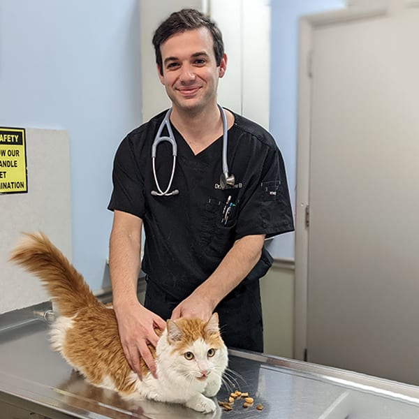 Meet Dr. Matthew Bain, Augusta Veterinarian