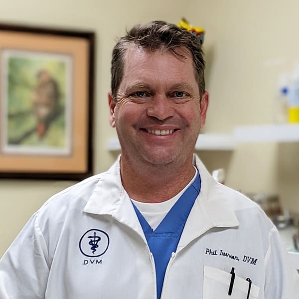 Dr. Phil Iverson, Augusta Veterinarian